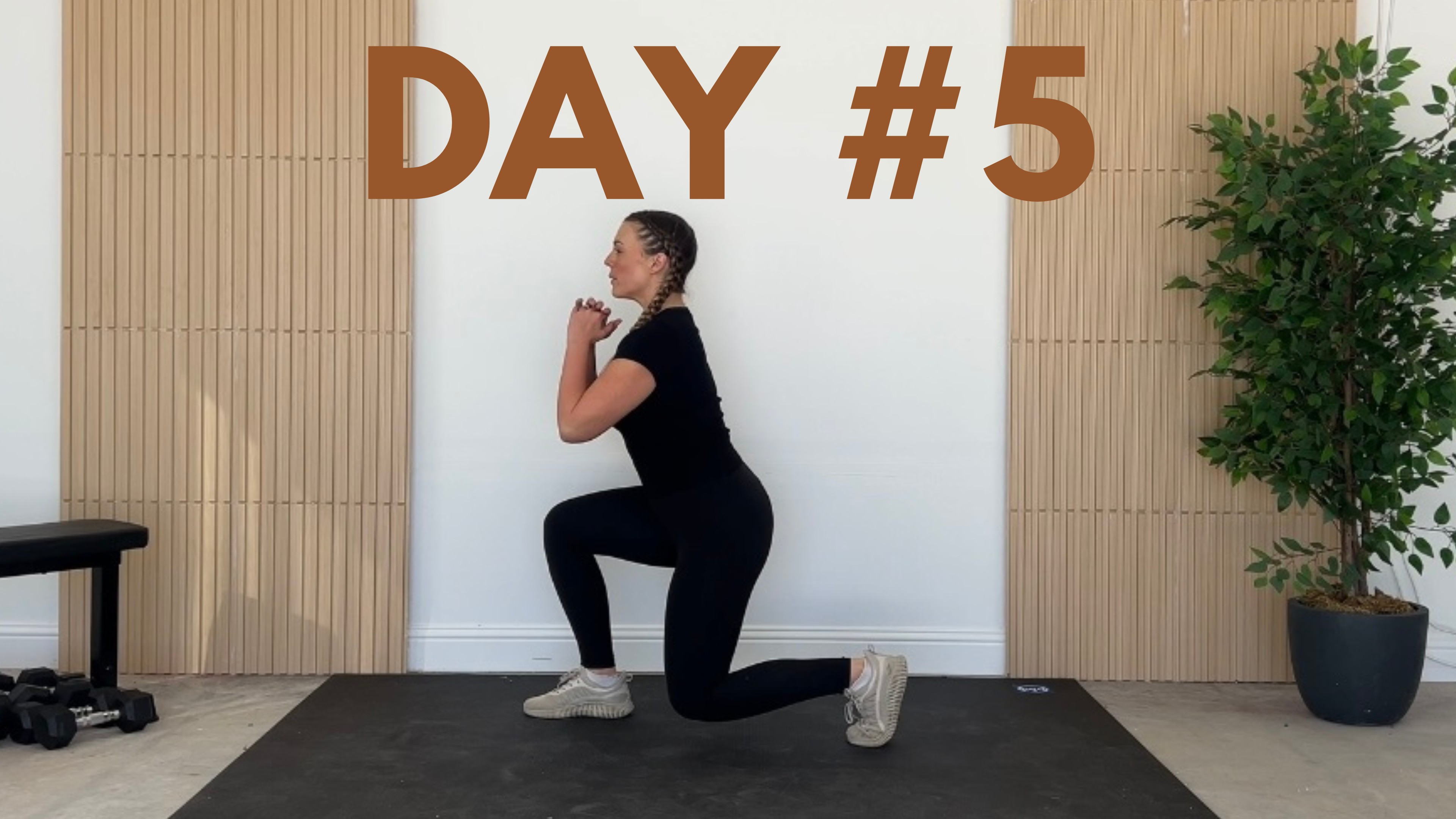 Day #5 - Upper Body & Stability