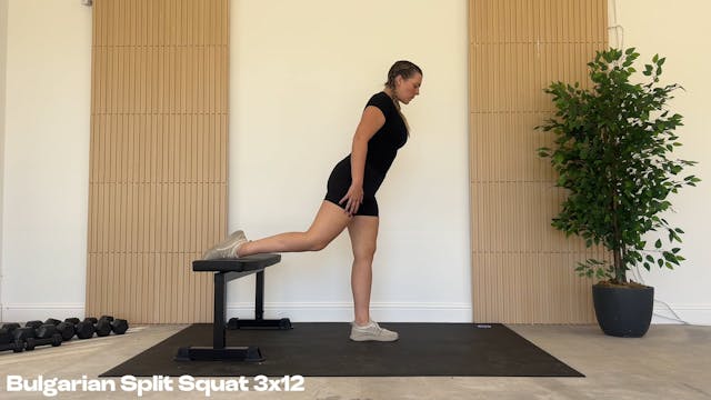 Bulgarian Split Squat