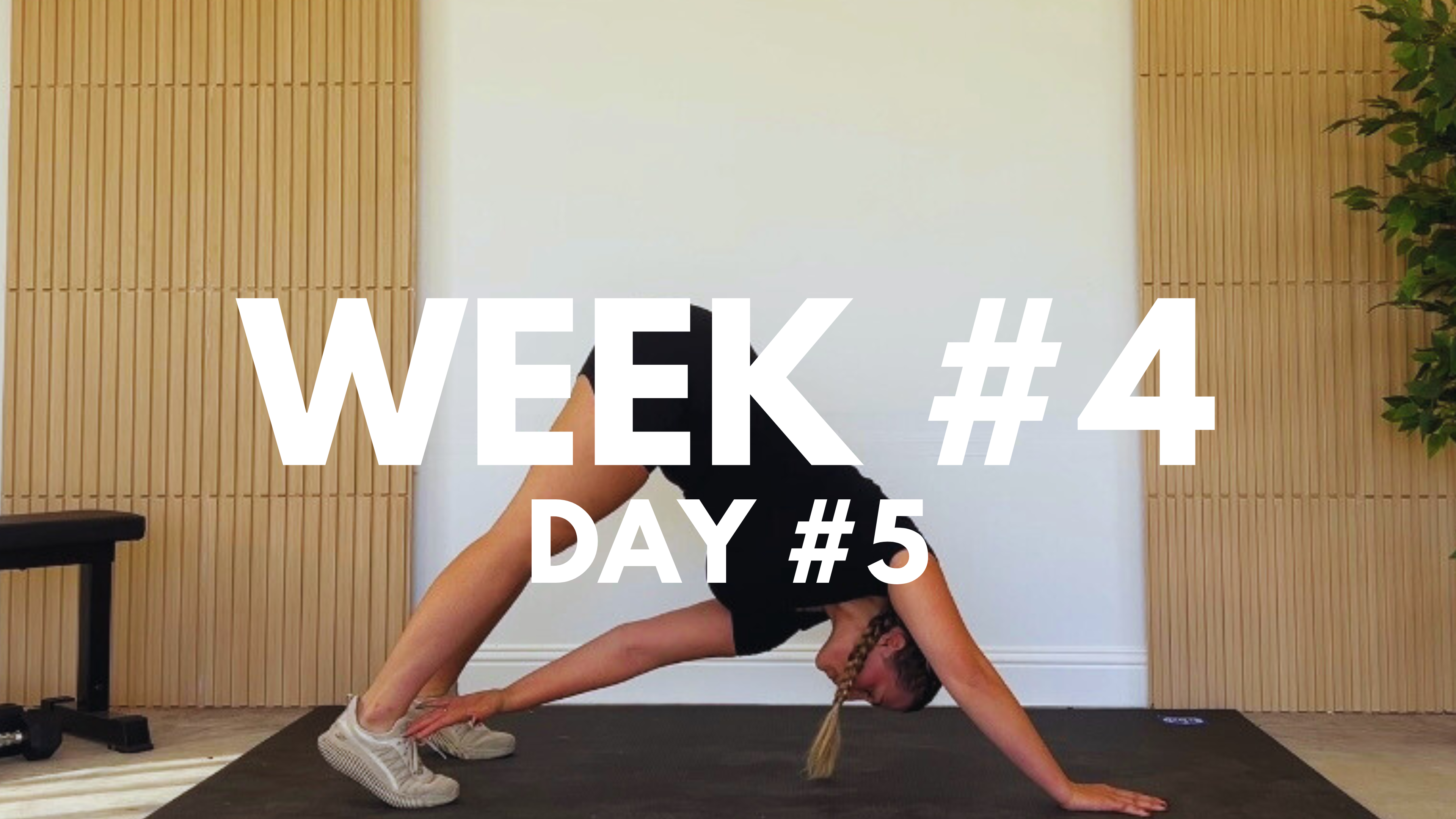 WEEK #4 / DAY #5: FULL BODY + CORE