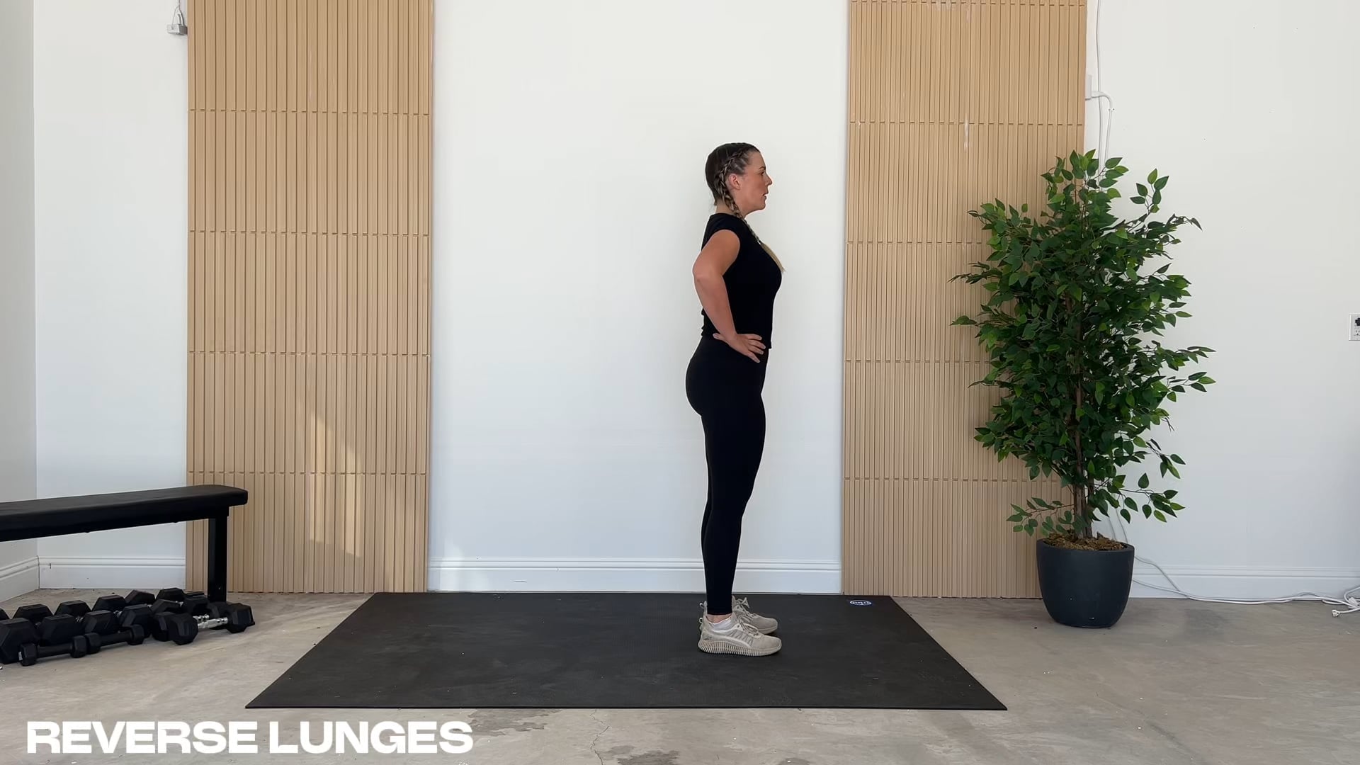 Reverse Lunges