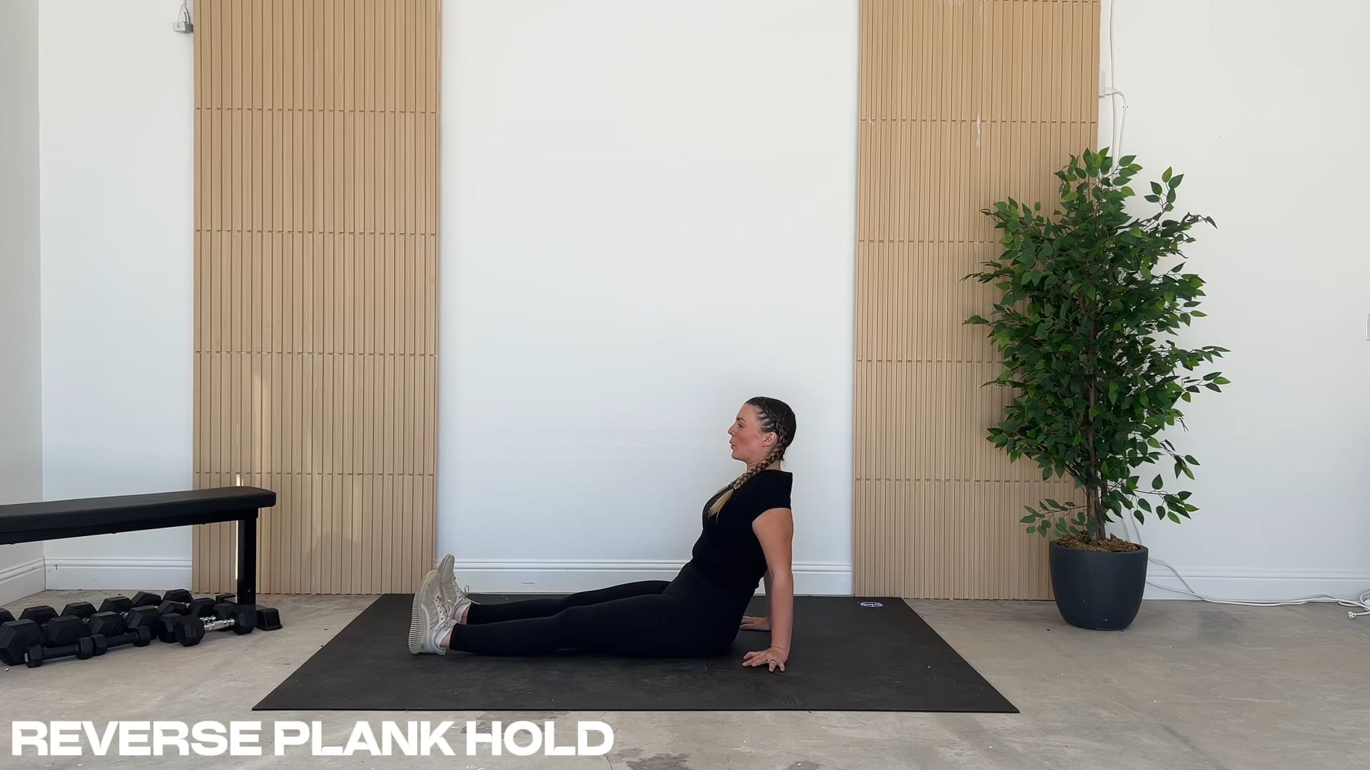 Reverse Plank Hold