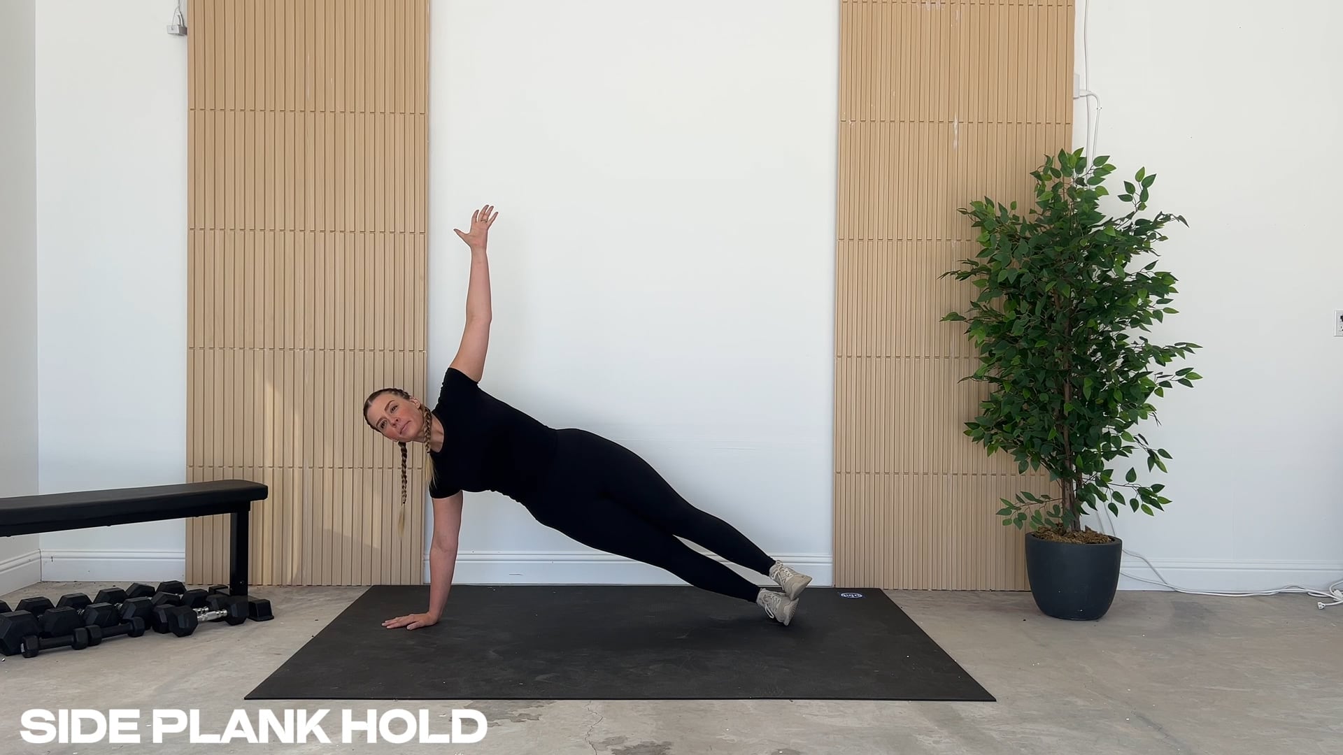 Side Plank Hold