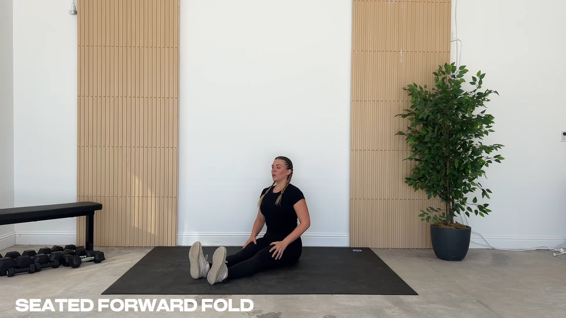 Seated Forward Fold