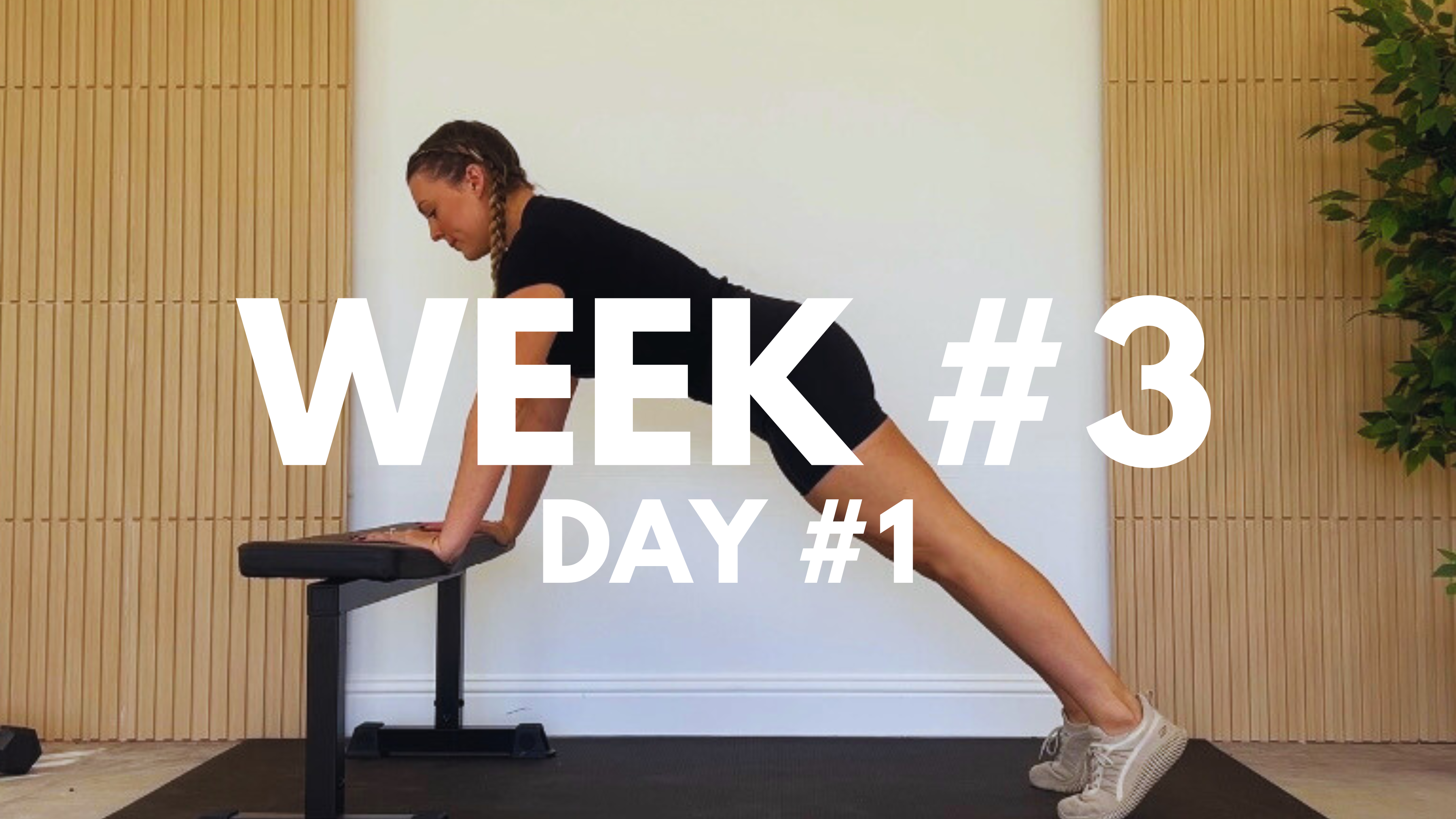 WEEK #3 / DAY #1: UPPER BODY + CORE