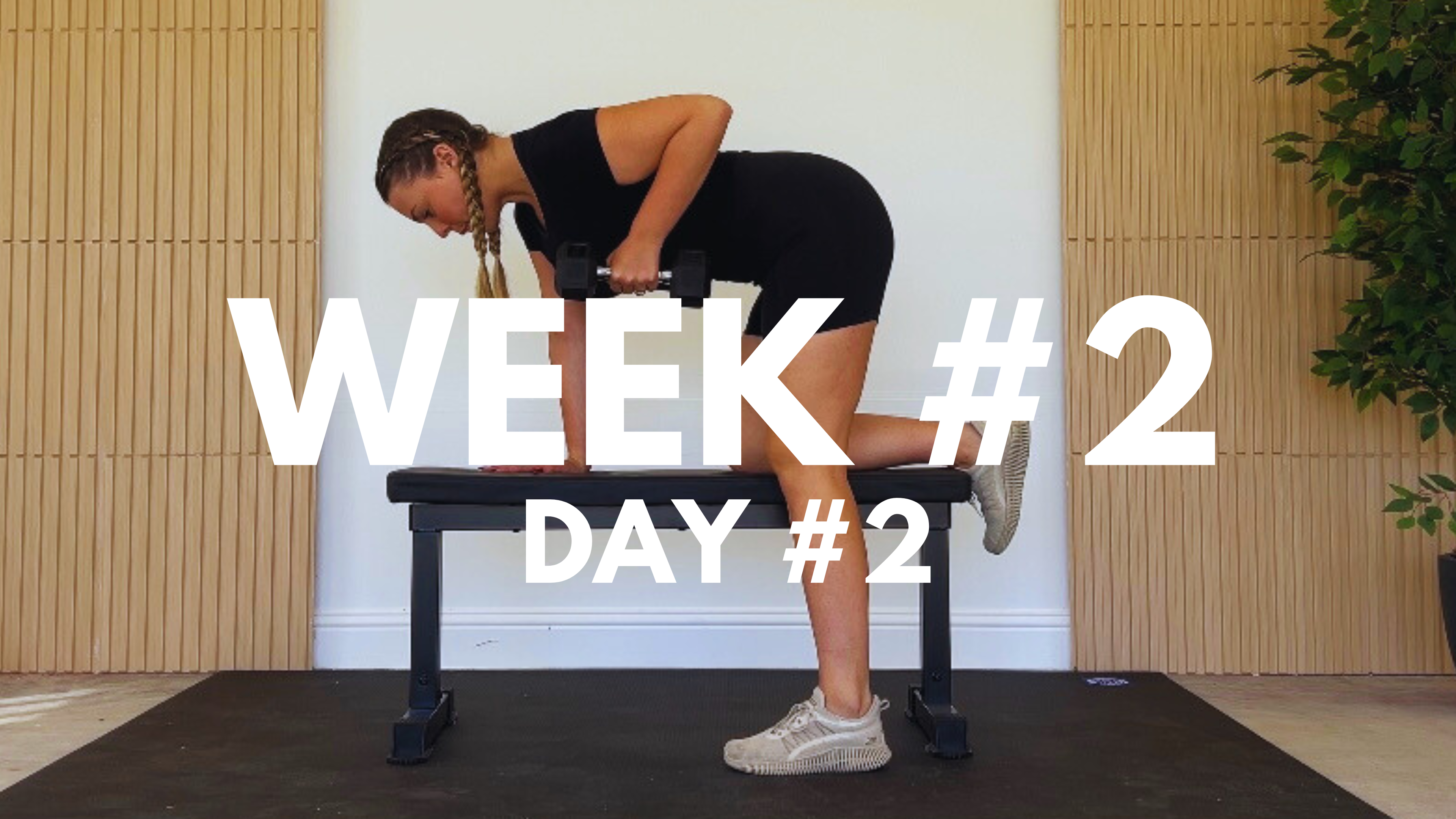 WEEK #2 / DAY #2: LOW INTENSITY CARDIO