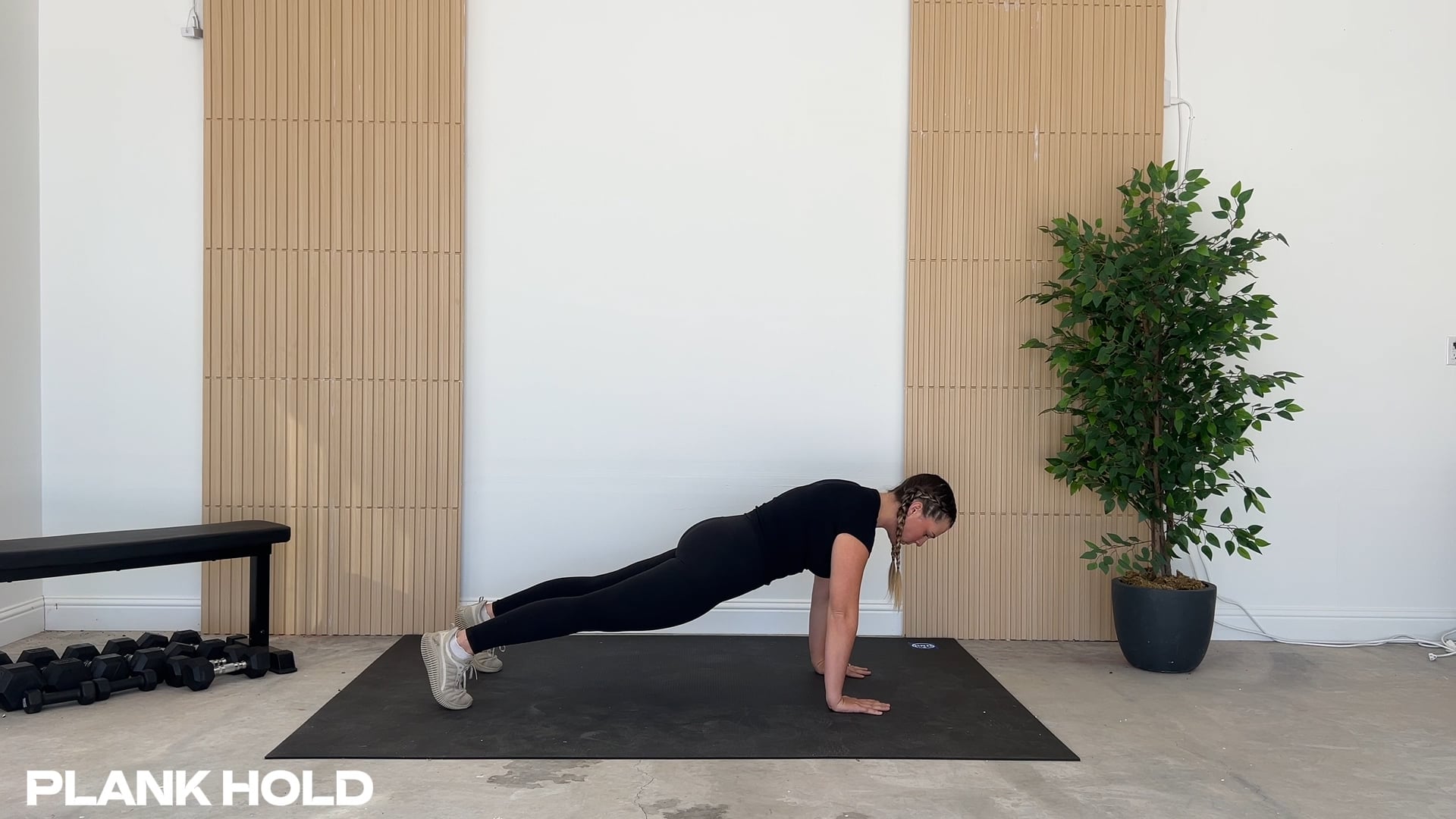 Plank Hold
