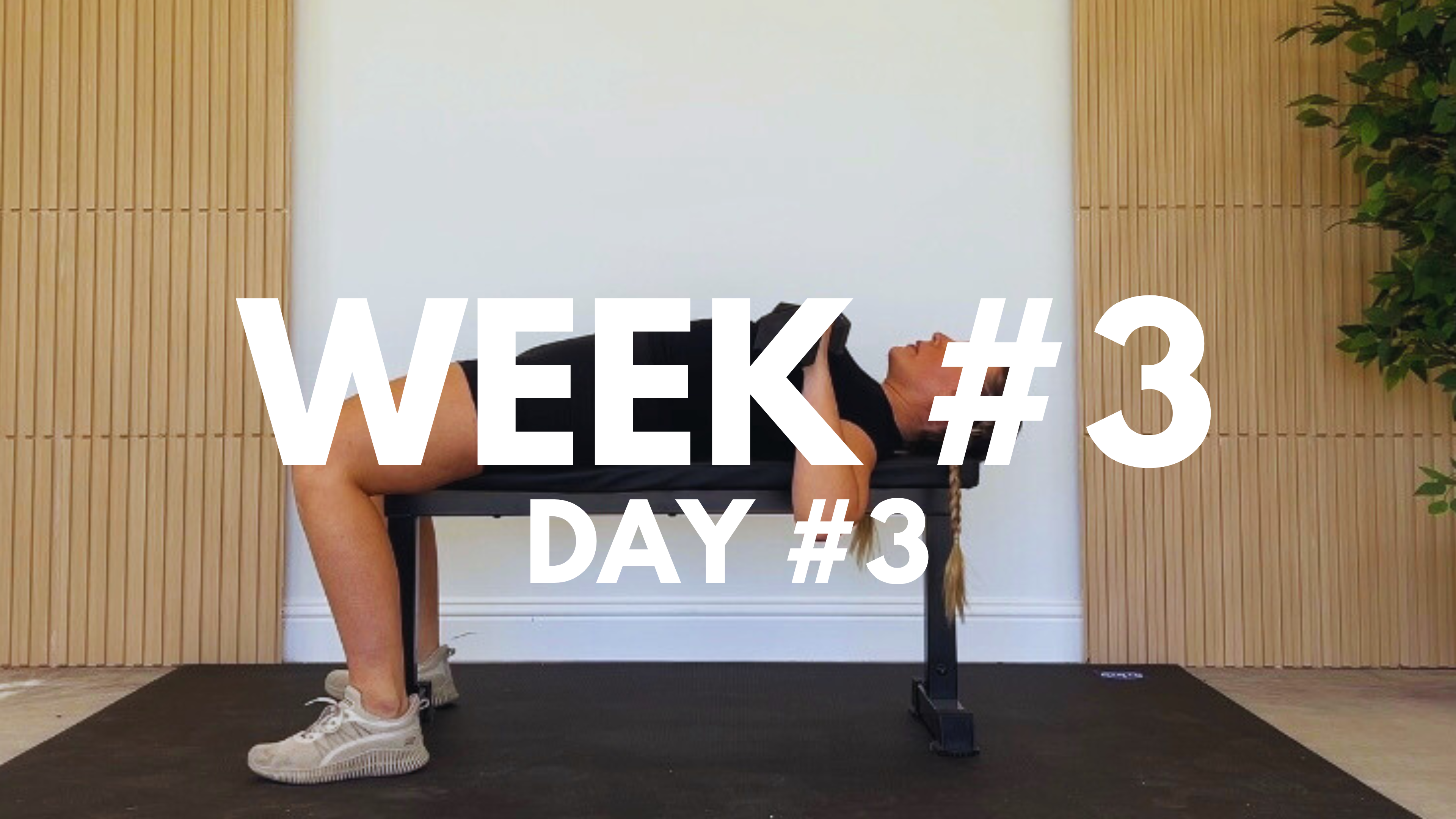 WEEK #3 / DAY #3: FULL BODY + CORE
