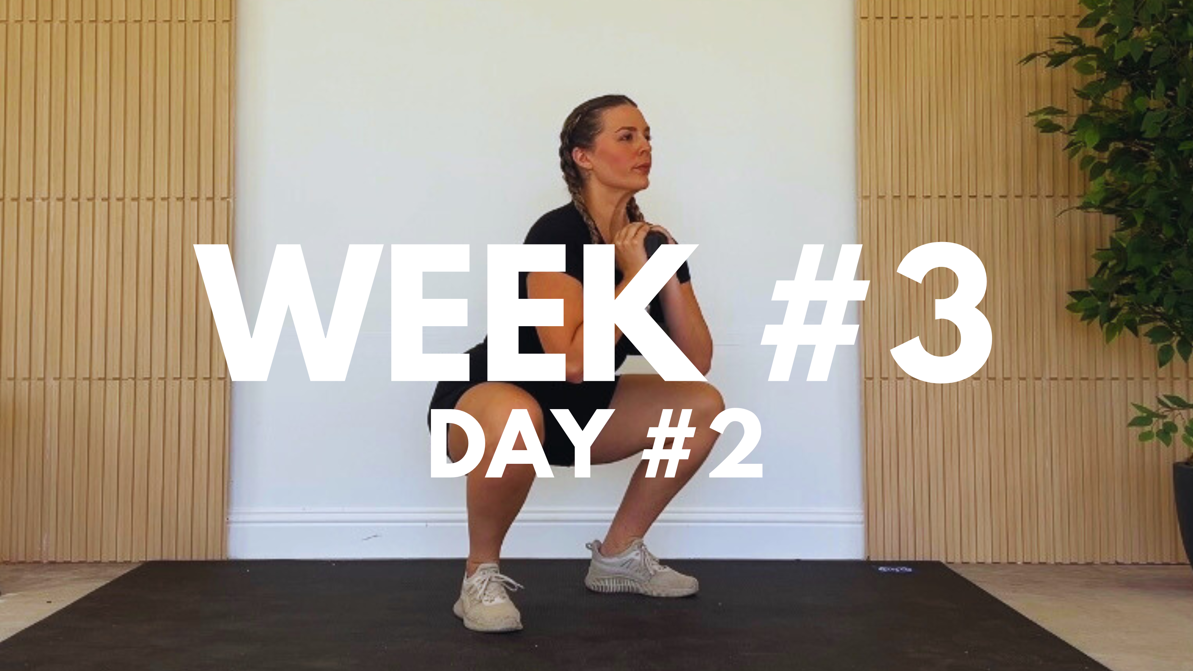 WEEK #3 / DAY #2: LOW IMPACT CARDIO