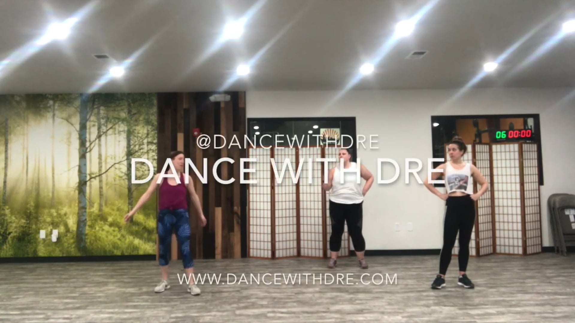 Wall to Wall - Chris Brown