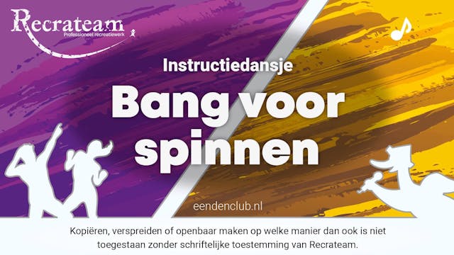 Bang voor spinnen