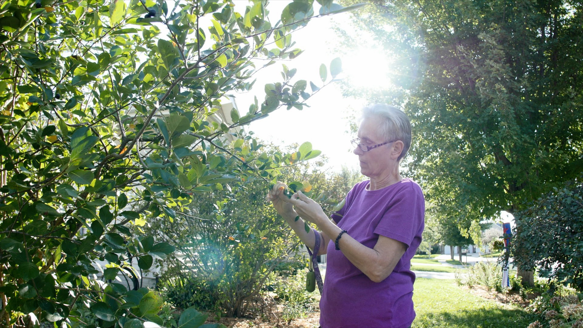 Defying All Odds—72 mins.