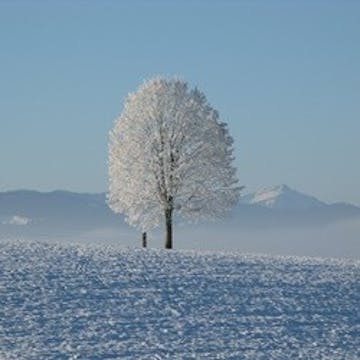 Winter Qigong Lesson 3