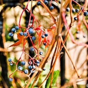 Fall Qigong Lesson 3