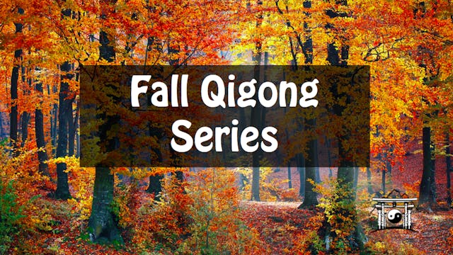 Fall Qigong Series