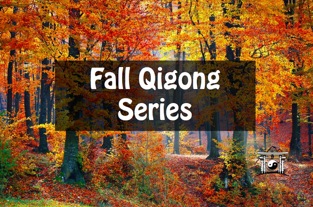 Fall Qigong Series