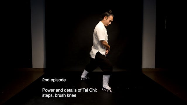 Power and details of Tai Chi: Tai Chi Steps, Brush knee