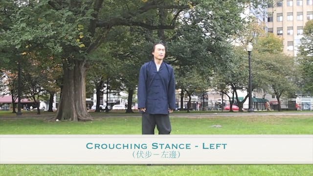 Tai Chi 28 Lesson 3 - Stances