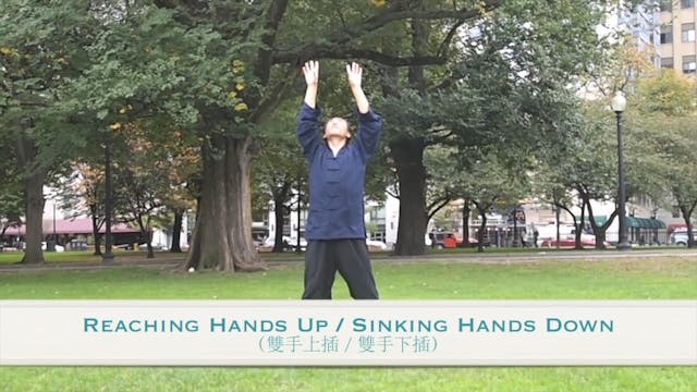 Tai Chi 28 Lesson 2 - Stretching