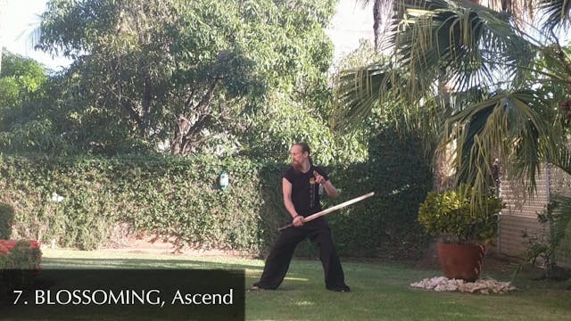 Assignment 7 Blossoming