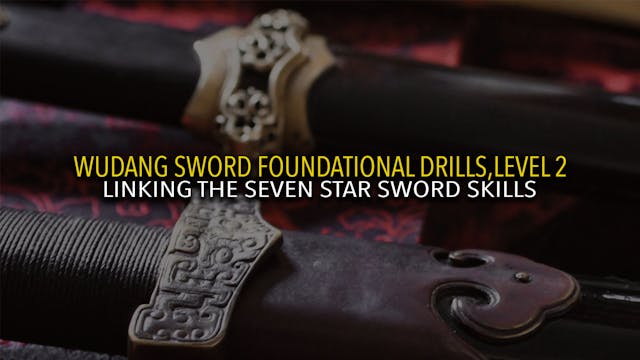 Wudang Sword Level 2: Linking Skills