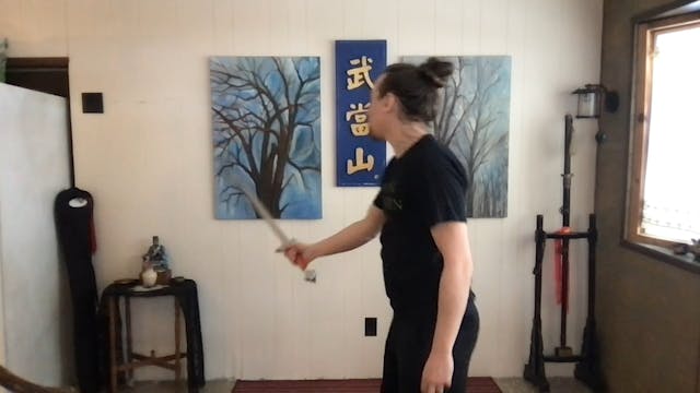 13 Linking Drill & the Stirs