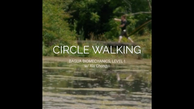 Circle Walking (Trailer 2)