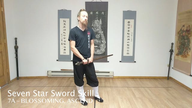 7SSS 7A – Blossoming, Ascend