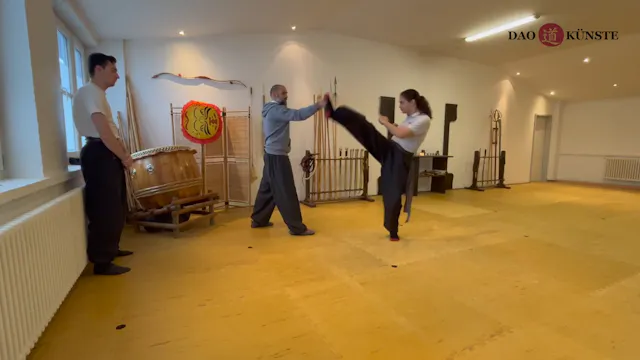 Grün TSP Tritte  Knie