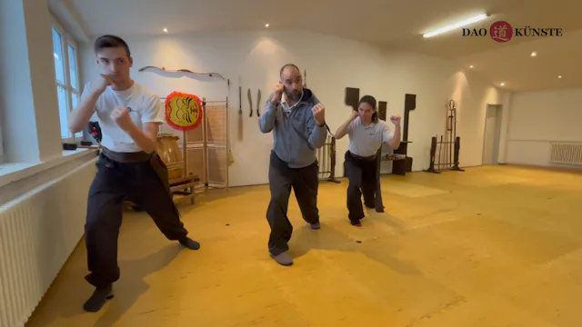 Grün TSP San Shou