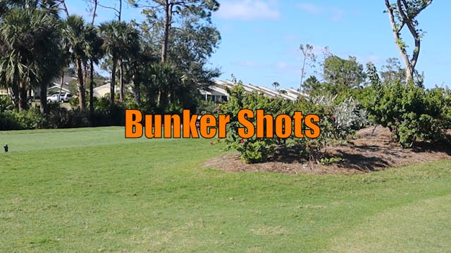 Bunker Shots