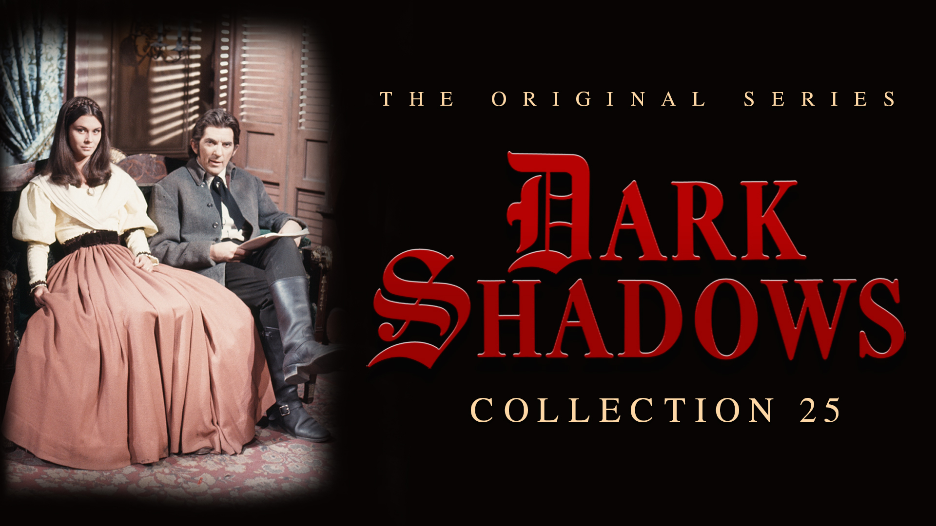 Dark Shadows Collection 25 [DVD]
