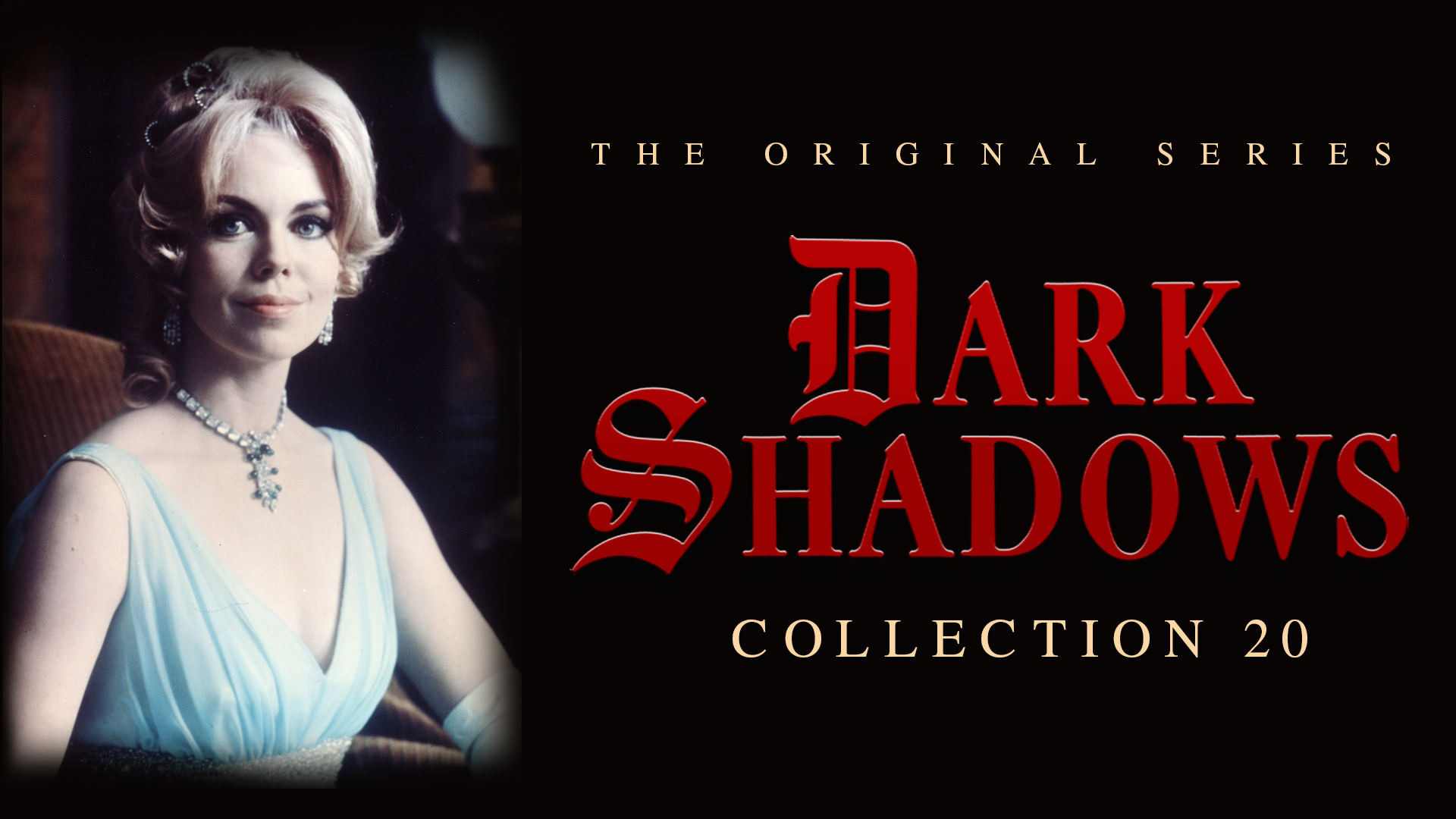 Dark Shadows - Volume 20 - Dark Shadows