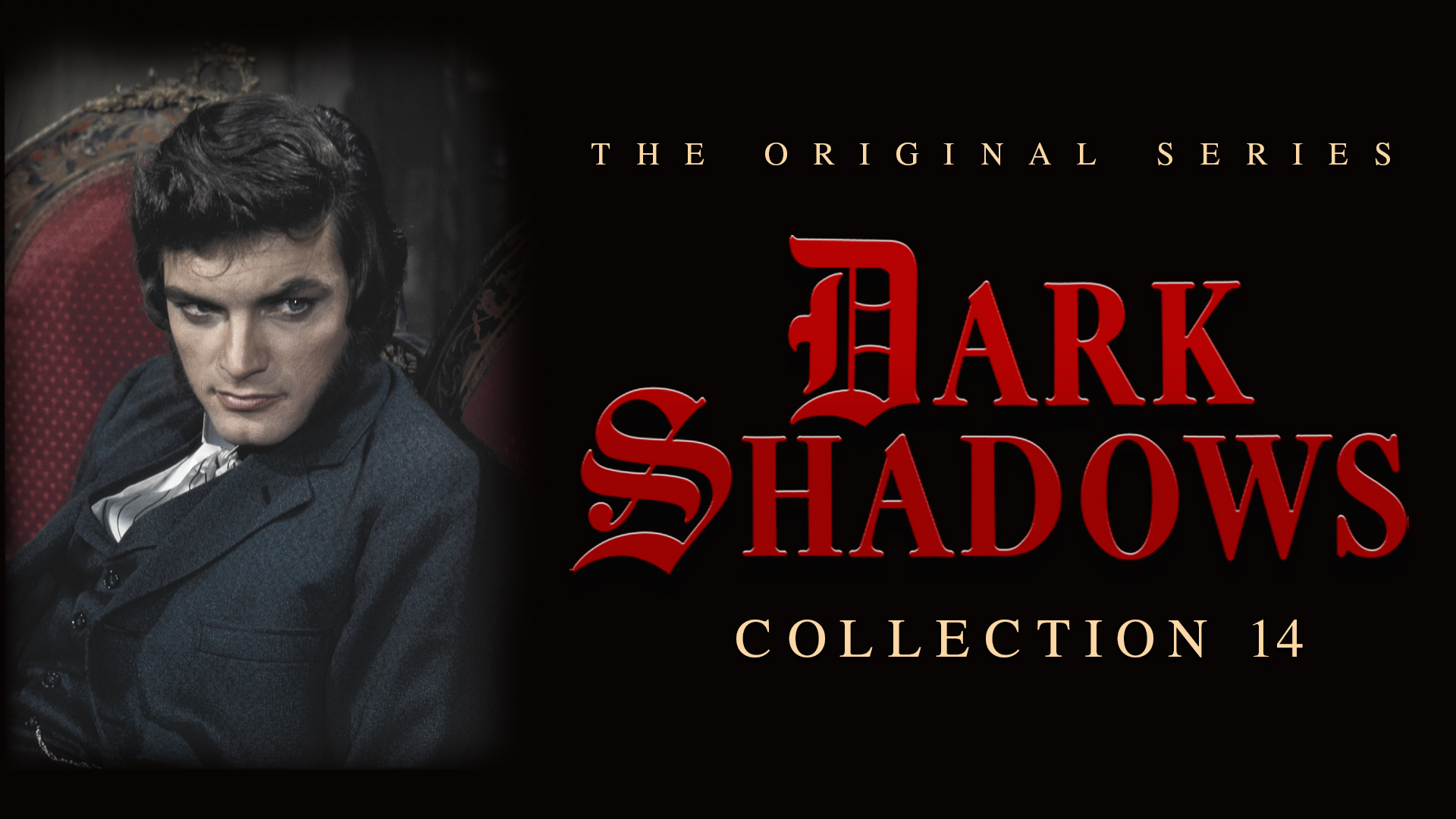 Dark Shadows Collection 14 [DVD]