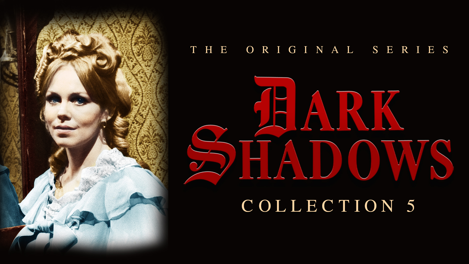 Dark Shadows Volume 5