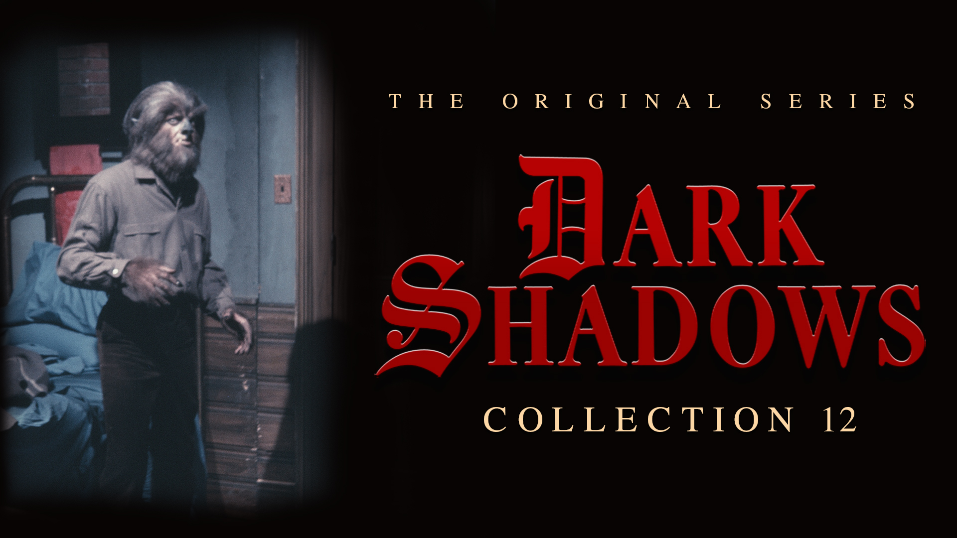 Dark Shadows - Volume 12