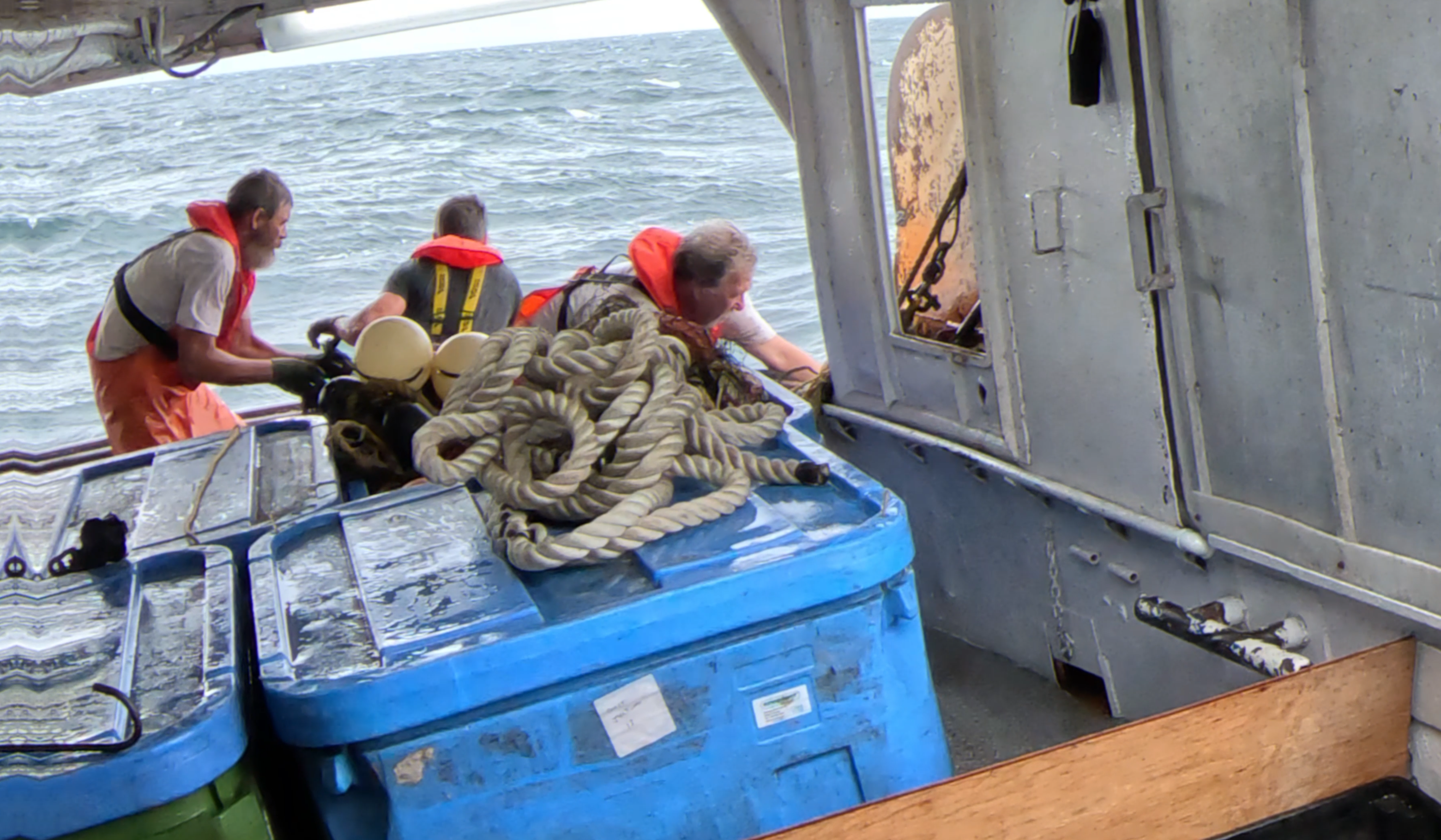 Netting the Waters