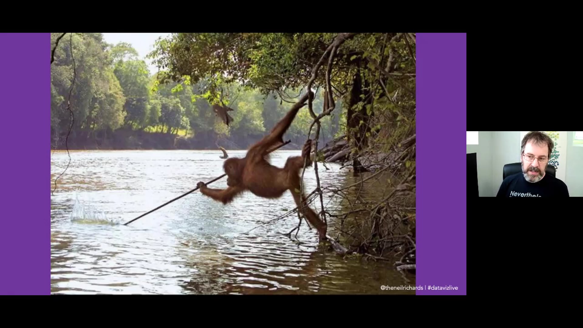 Building Internal Data Visualisation Communities