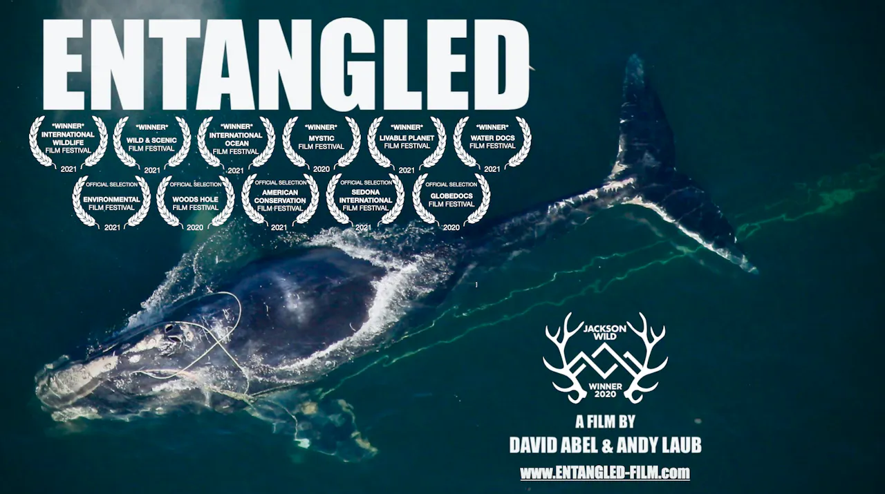 ENTANGLED