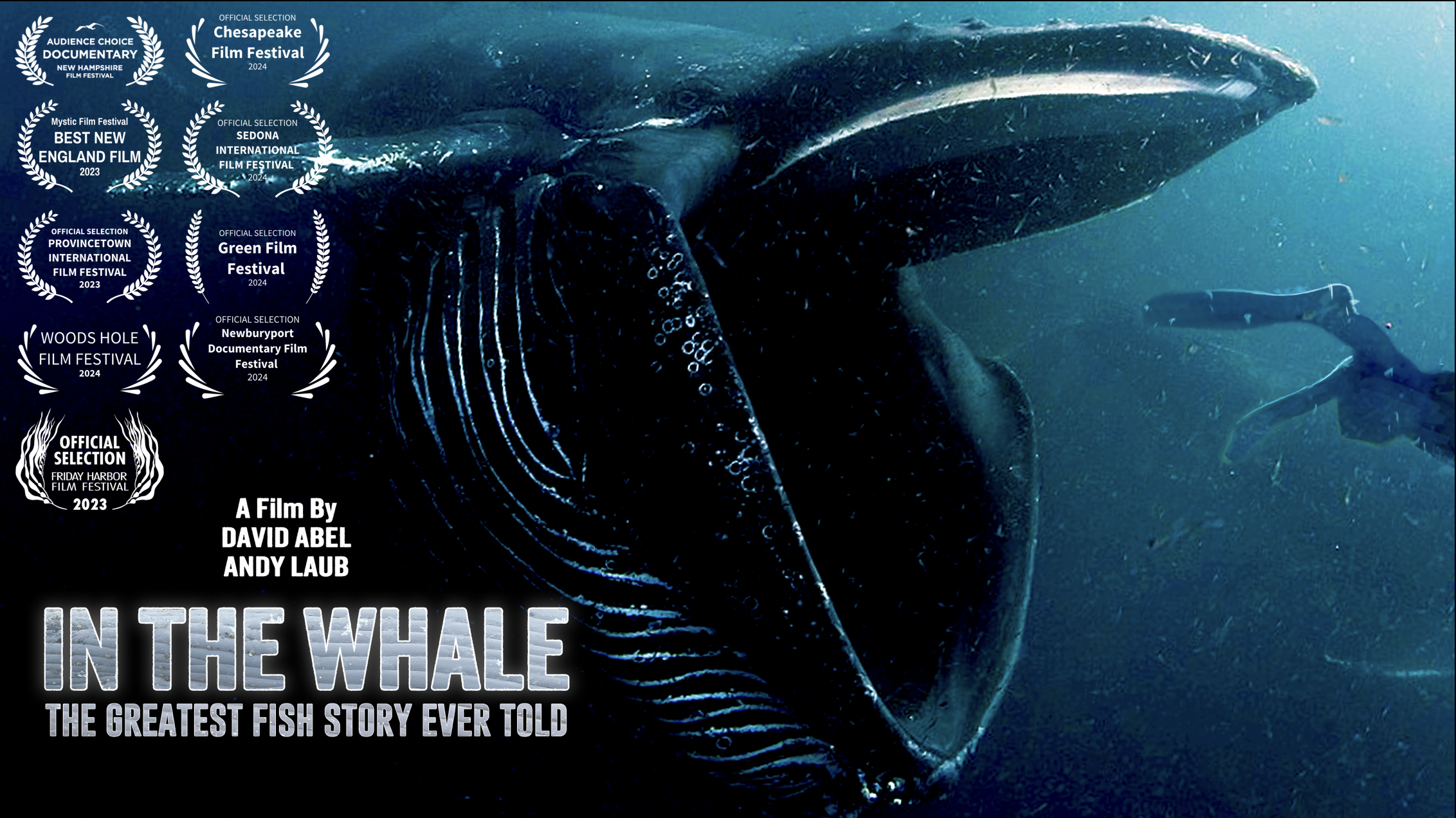 IN THE WHALE