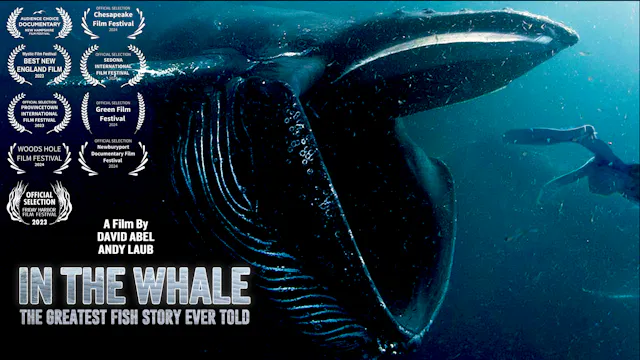 IN THE WHALE