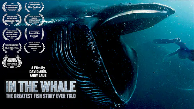 IN THE WHALE
