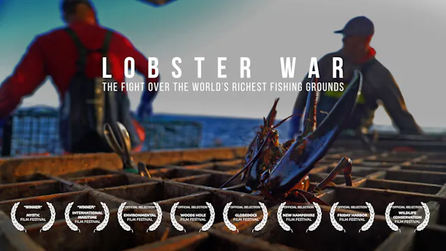 LOBSTER WAR