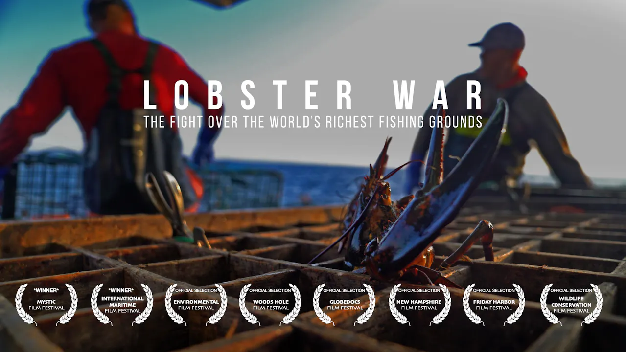 LOBSTER WAR