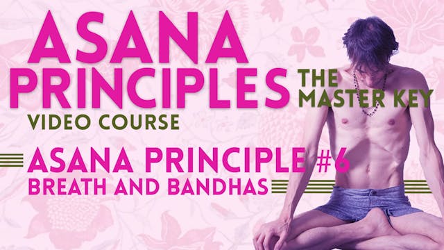 Breath and Bandhas Principle_Asana Theory Part 1