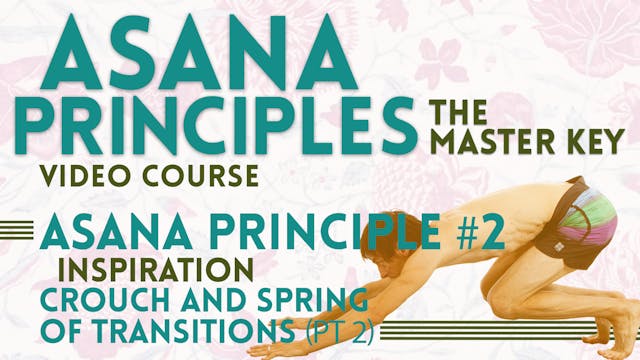 One Transition Principle_Crouch and Spring Inspiration (Pt 2)