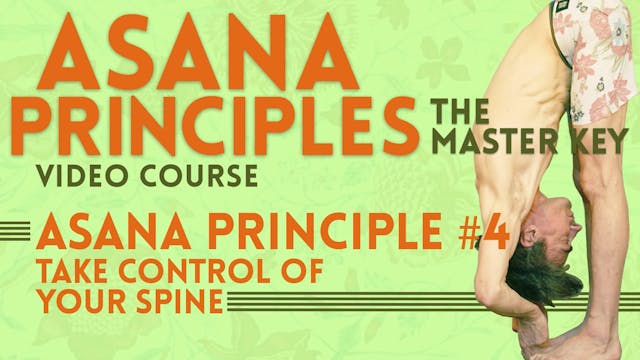 Spinal Position Principle_Asana Theory Part 1