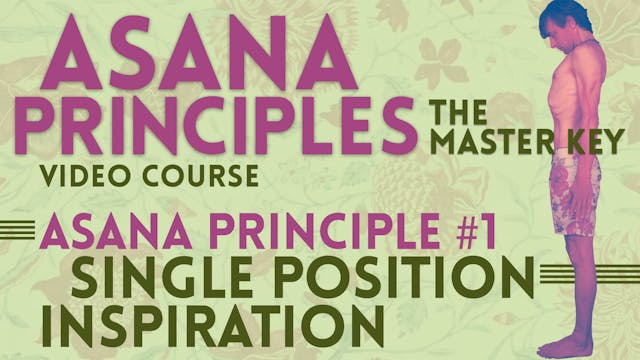 Single Position Principle_Inspiration Part 1