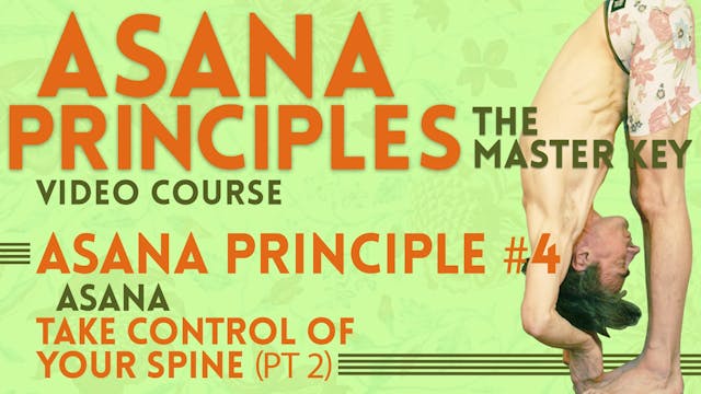 Spinal Position Principle_Asana Theory Part 2 