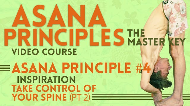 Spinal Position Principle_inspiration Part 2