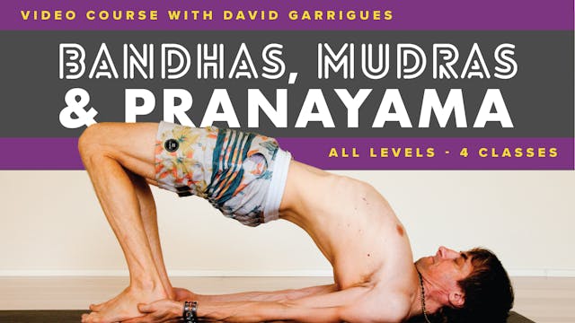 Bandhas, Mudras, and Pranayama